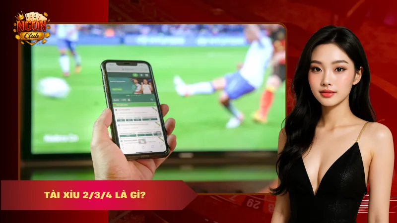 cược 1-3-2-4 tài xỉu là gì