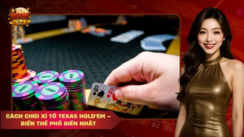 luật chơi xì tố cơ bản